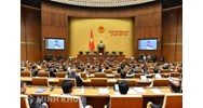 Mối quan hệ giữa nhà nước pháp quyền xã hội chủ nghĩa Việt Nam với nền hành chính nhà nước trong giai đoạn hiện nay