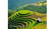 Đất chuyên dùng là gì? Căn cứ xác định loại đất, phân loại đất