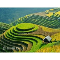 Đất chuyên dùng là gì? Căn cứ xác định loại đất, phân loại đất