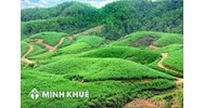 Đất lâm nghiệp là gì? Quản lý, phân loại và sử dụng đất lâm nghiệp