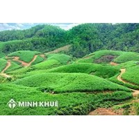 Đất lâm nghiệp là gì? Quản lý, phân loại và sử dụng đất lâm nghiệp