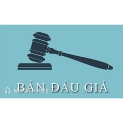 Đấu giá tài sản là gì? Quy trình tổ chức đấu giá tài sản