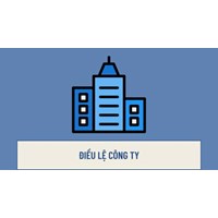 Điều lệ công ty gồm những nội dung gì?