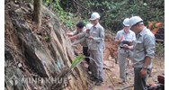 Điều tra cơ bản địa chất về khoáng sản là gì? Gồm nội dung nào?