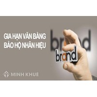 Đình chỉ hiệu lực của văn bằng bảo hộ là gì ?