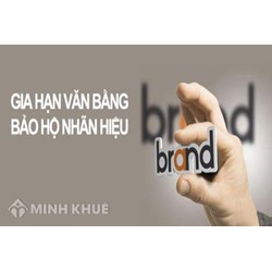 Đình chỉ hiệu lực của văn bằng bảo hộ là gì ?