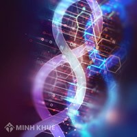 Register inventions in the areas of biochemistry, beer, spirits, wine, vinegar, microbiology, enzymonology, mutation or genetic engineering in Vietnam?
