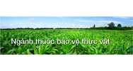 Quy định mới về điều kiện kinh doanh thuốc bảo vệ thực vật ?