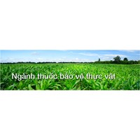 Quy định mới về điều kiện kinh doanh thuốc bảo vệ thực vật ?