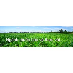 Quy định mới về điều kiện kinh doanh thuốc bảo vệ thực vật ?