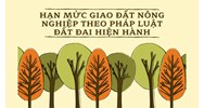 Hạn mức giao đất nông nghiệp bao nhiêu theo Luật đất đai 2024?