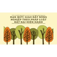 Hạn mức giao đất nông nghiệp bao nhiêu theo Luật đất đai 2024?