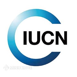 Liên minh Quốc tế bảo tồn thiên nhiên và tài nguyên thiên nhiên, (IUCN) là gì?