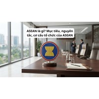 ASEAN là gì? Mục tiêu, nguyên tắc, cơ cấu tổ chức của ASEAN