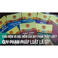 Hiệu lực theo thời gian của văn bản quy phạm pháp luật là gì ?