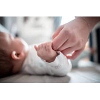 Họ là gì? Khái niệm họ được hiểu như thế nào theo quy định của pháp luật