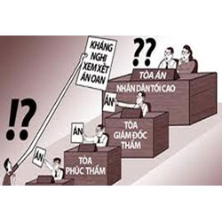 Kháng nghị trong tố tụng hình sự là gì ?