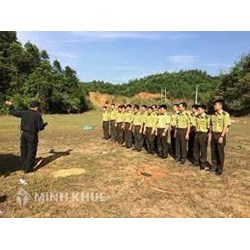 Kiểm lâm là gì ? Quy định pháp luật về kiểm lâm