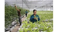 Liên hiệp hợp tác xã là gì? Ban kiểm soát của hợp tác xã là gì?