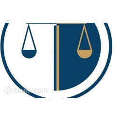 Luật công ty là gì ? Sự ra đời của công ty và Luật Công ty