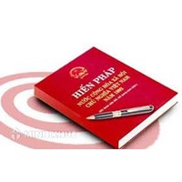 Luật hiến pháp là gì ? Phân tích hệ thống ngành luật hiến pháp
