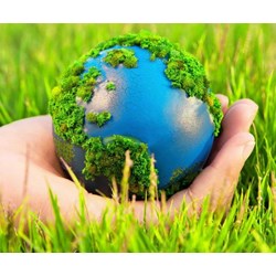 Luật môi trường là gì? Vai trò, ý nghĩa của luật môi trường