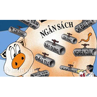 Luật ngân sách nhà nước là gì ? Tìm hiểu quy định về luật ngân sách nhà nước