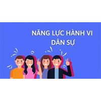 Mất năng lực hành vi dân sự là gì? Người mất năng lực hành vi khi nào?