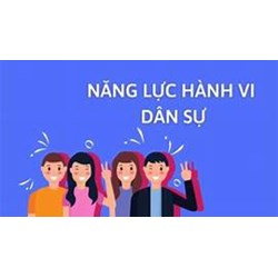 Mất năng lực hành vi dân sự là gì? Người mất năng lực hành vi khi nào?
