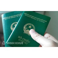 Mất quốc tịch là gì? Căn cứ xác định mất quốc tịch theo quy định của Luật Quốc tịch năm 2008?