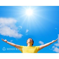 Môi trường là gì? Vai trò của môi trường là gì? Ý nghĩa bảo vệ môi trường?