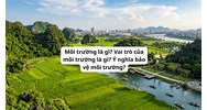 Môi trường là gì? Vai trò của môi trường là gì? Ý nghĩa bảo vệ môi trường?