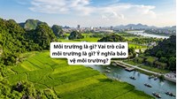 Môi trường là gì? Vai trò của môi trường là gì? Ý nghĩa bảo vệ môi trường?
