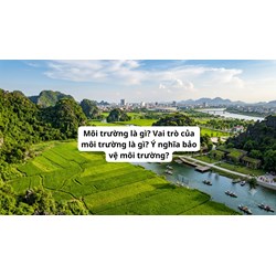 Môi trường là gì? Vai trò của môi trường là gì? Ý nghĩa bảo vệ môi trường?