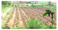 Mục đích sử dụng đất là gì? Phân loại mục đích sử dụng đất?