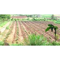 Mục đích sử dụng đất là gì? Phân loại mục đích sử dụng đất?