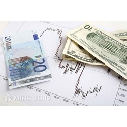 Ngoại hối là gì? Nhà nước quản lý ngoại hối như thế nào?