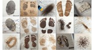 Nguồn chứng cứ là gì? Nguồn chứng cứ trong tố tụng hình sự, dân sự