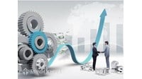 Nguyên tắc tự do kinh doanh là gì? Nội dung và đặc điểm nguyên tắc
