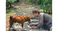 Cải biên là gì? Chuyển thể tác phẩm là gì và những quy định pháp luật có liên quan