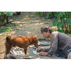 Cải biên là gì? Chuyển thể tác phẩm là gì và những quy định pháp luật có liên quan