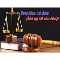Phát mại tài sản là gì? Quy định về phát mại tài sản