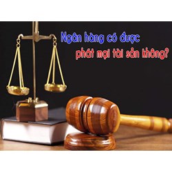 Phát mại tài sản là gì ? Quy định pháp luật về phát mại tài sản