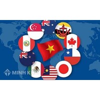 Phê chuẩn điều ước quốc tế là gì? Trình tự ký kết điều ước quốc tế