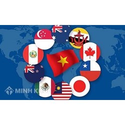 Phê chuẩn điều ước quốc tế là gì? Trình tự ký kết điều ước quốc tế