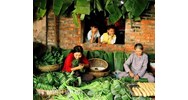 Phong tục là gì? Phong tục có vai trò, ý nghĩa như thế nào?