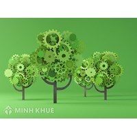 Phục hồi môi trường là gì ? Các biện pháp phục hồi môi trường ?