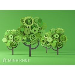 Phục hồi môi trường là gì ? Các biện pháp phục hồi môi trường ?