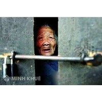 Phụng dưỡng là gì ? Con cái bất hiếu không phụng dưỡng cha mẹ sẽ bị xử phạt như thế nào ?