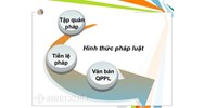 Áp dụng tập quán pháp trong pháp luật Việt Nam thực hiện thế nào ?